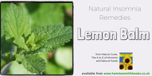 Lemon Balm credit flickr b4ssm4st3r