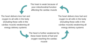 cfs-myhill-mitonchondria-vicious-circle