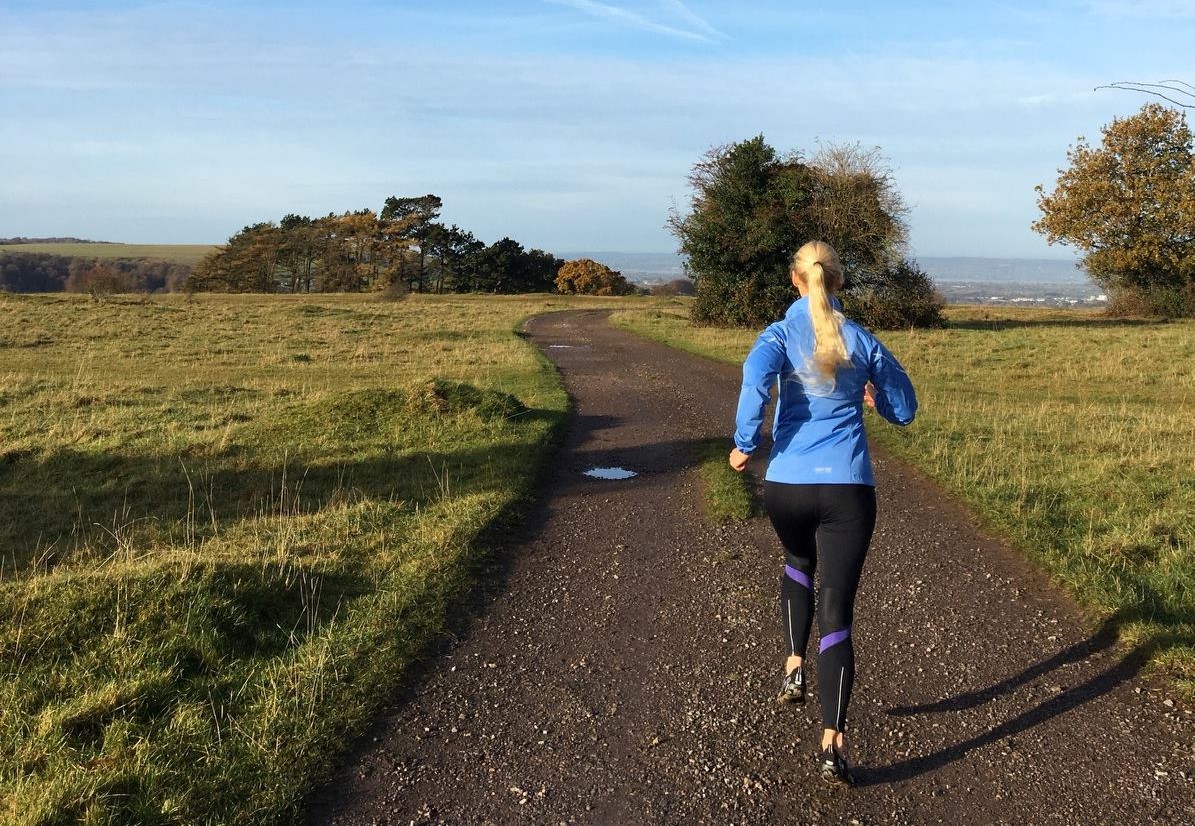 The Fatigue Solution by Max Tuck